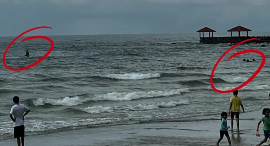 （图：小红书）