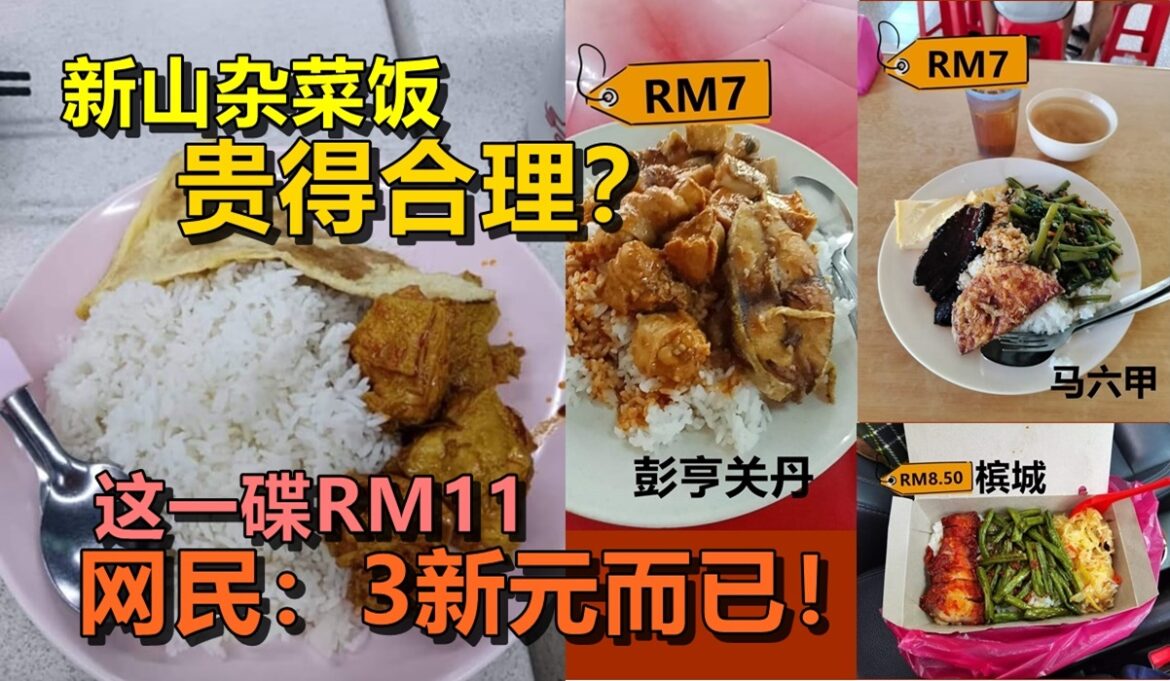 新山杂菜饭“贵得合理”？這一碟RM11  网民：3新元而已！