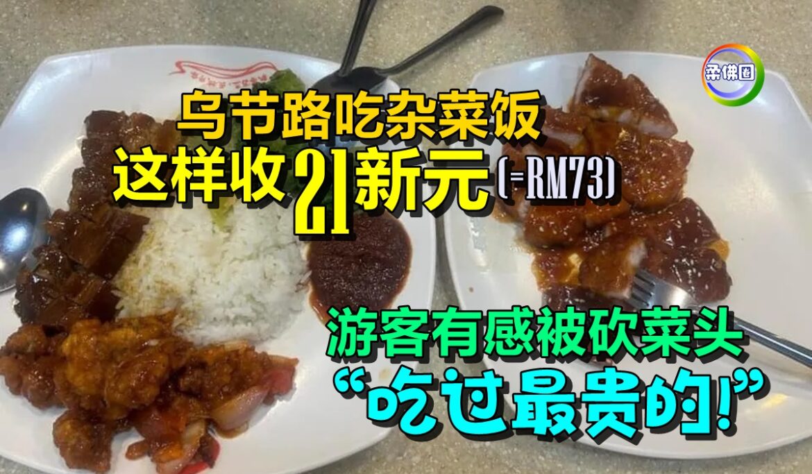 乌节路吃杂菜饭21新元   游客有感被砍菜头  “这是我吃过最贵的！”