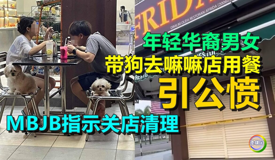 年轻华裔男女  带狗去嘛嘛店用餐引公愤   MBJB指示餐馆关店清理