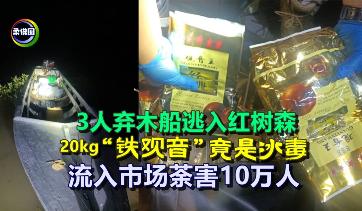 3人弃木船逃入红树森  20kg “铁观音”竟是冰毒  流入市场荼害10万人