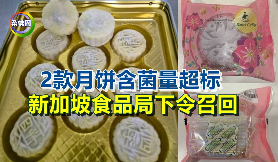 2款月饼含菌量超标   新加坡食品局下令召回