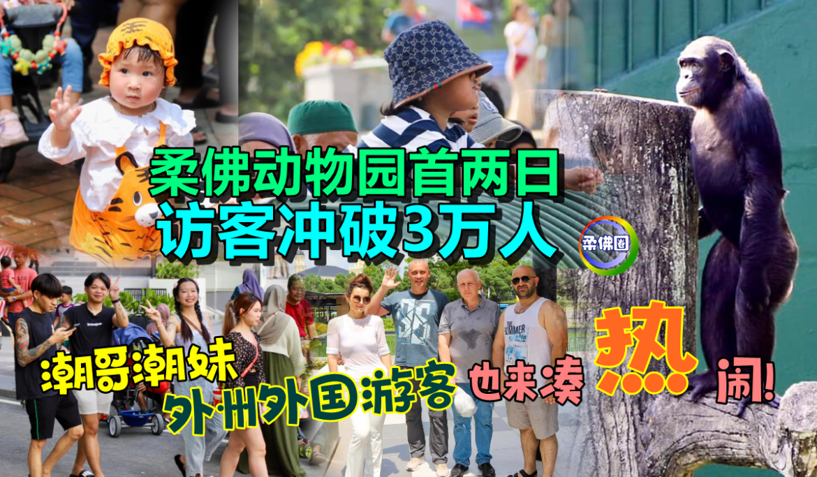 柔佛动物园首两日  访客冲破3万人  潮哥潮妹‧外州外国游客  也来凑“热”闹！