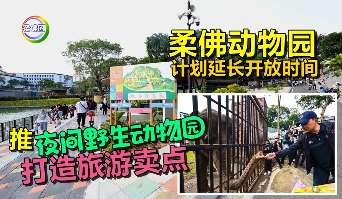 柔佛动物园计划延长开放时间  推“夜间野生动物园”  打造旅游卖点