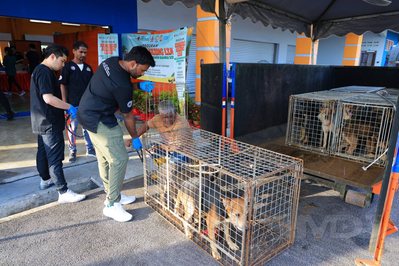 （图：Media Dogital Johor）