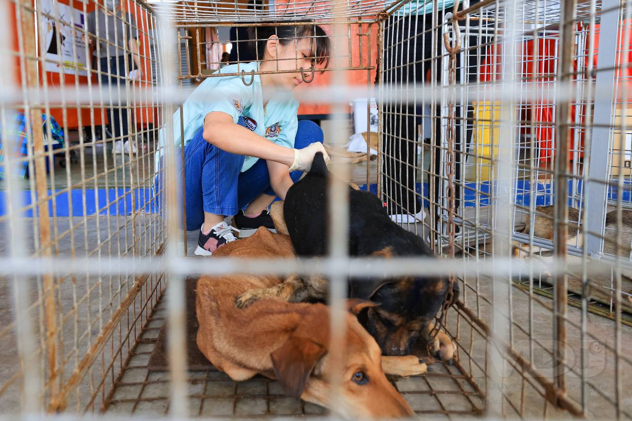 （图：Media Dogital Johor）