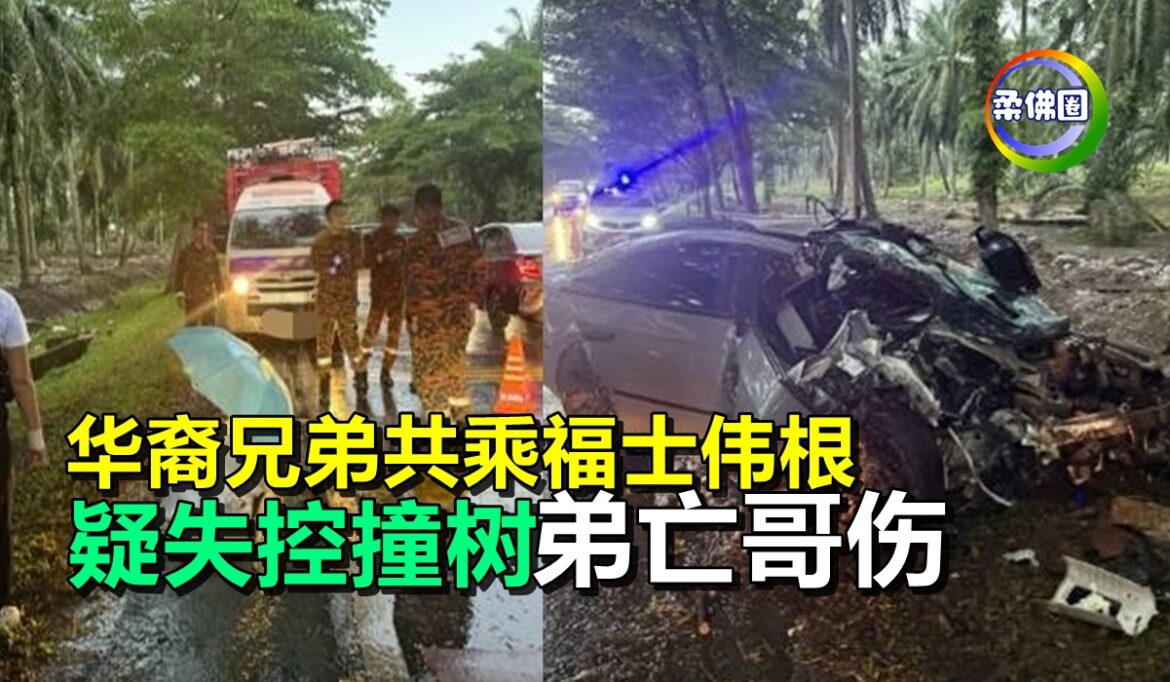 华裔兄弟共乘福士伟根  疑失控撞树  弟亡哥伤