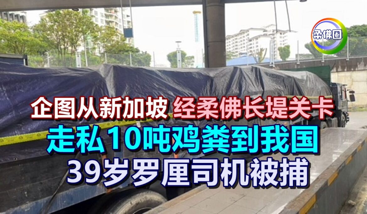 企图从新加坡  经柔佛长堤关卡  走私10吨鸡粪到我国  39岁罗厘司机被捕