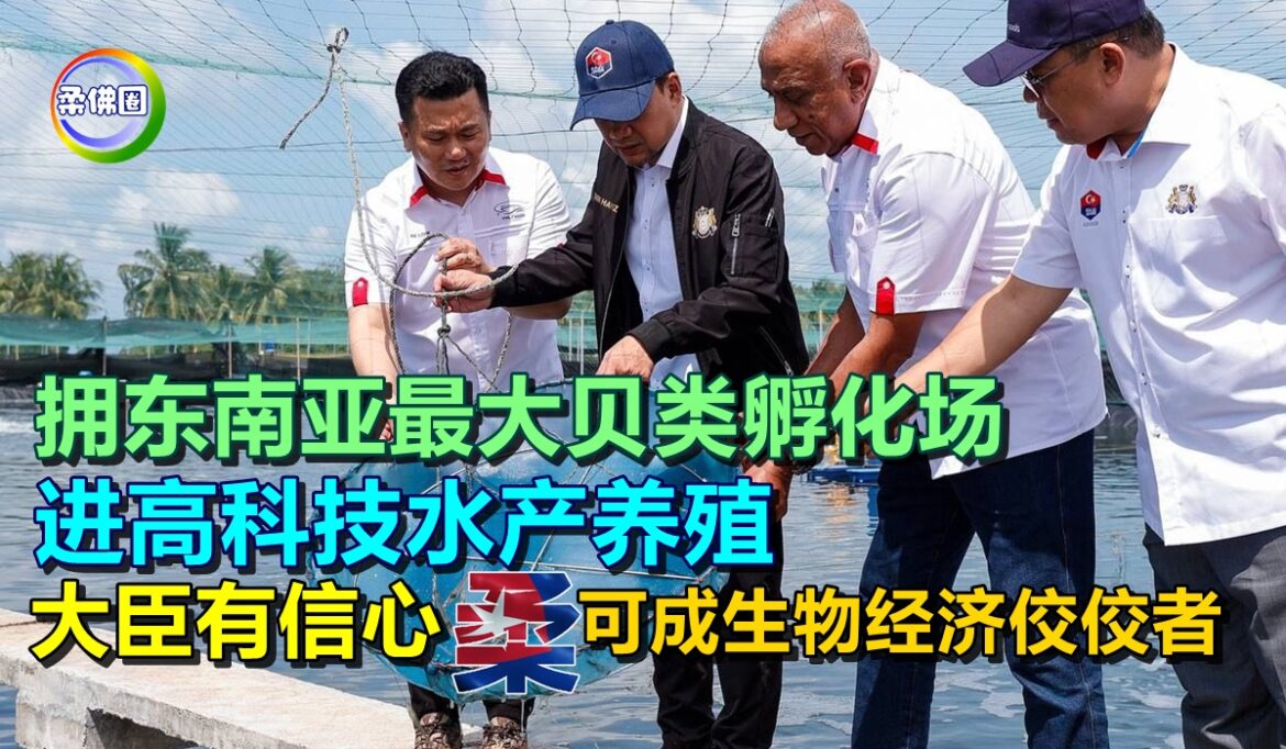拥东南亚最大贝类孵化场 进高科技水产养殖 大臣有信心  柔可成生物经济佼佼者