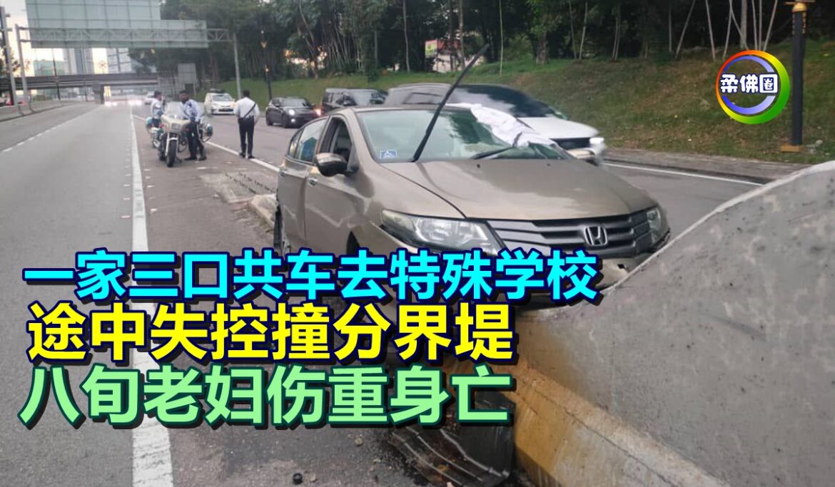 一家三口共车去特殊学校  途中失控撞分界堤  八旬老妇伤重身亡