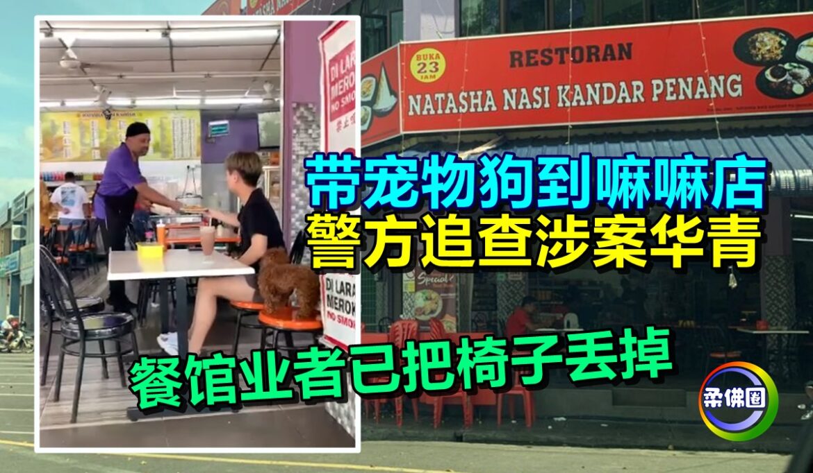 带宠物狗到嘛嘛店  警方追查涉案华裔青年  餐馆业者已把椅子丢掉