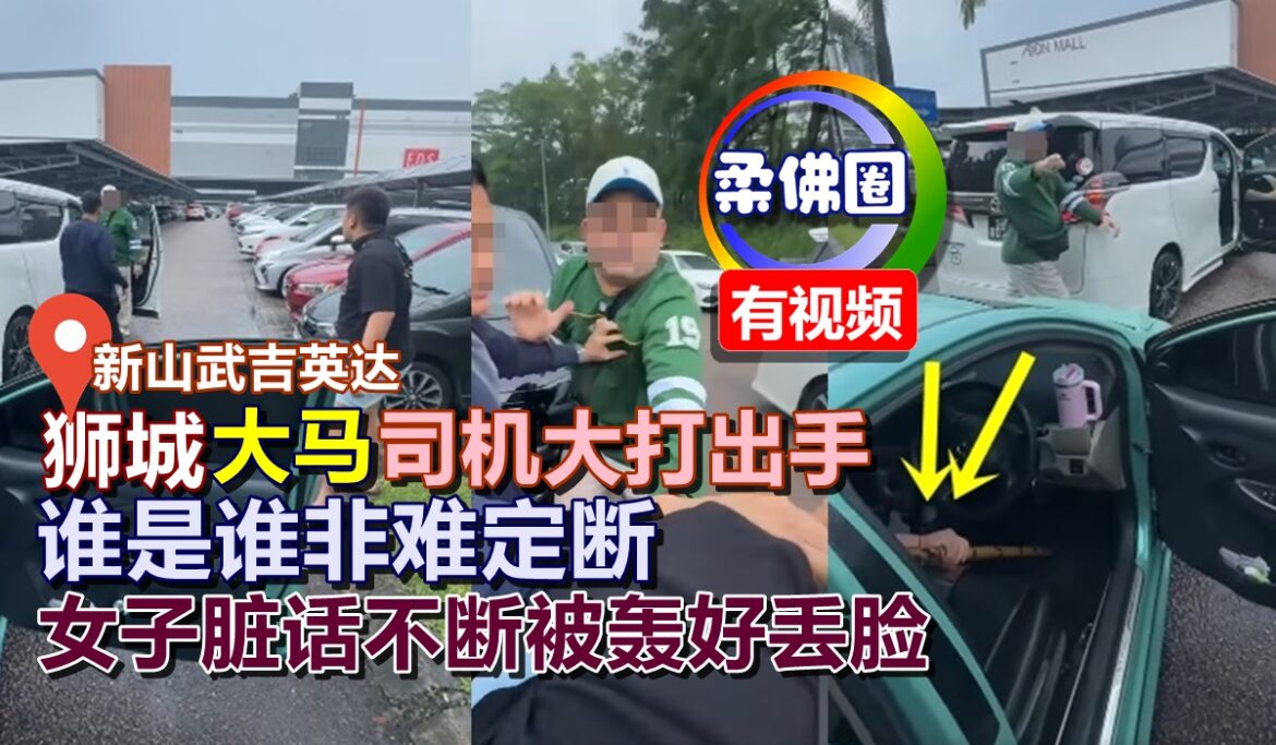 新山泊车场  狮城大马司机大打出手  谁是谁非难定断  女子脏话不断被轰好丢脸