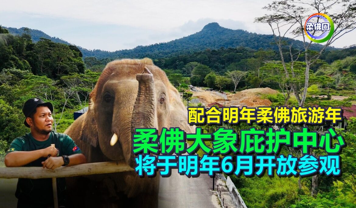 配合2026柔佛旅游年  柔佛大象庇护中心  将于明年6月开放参观