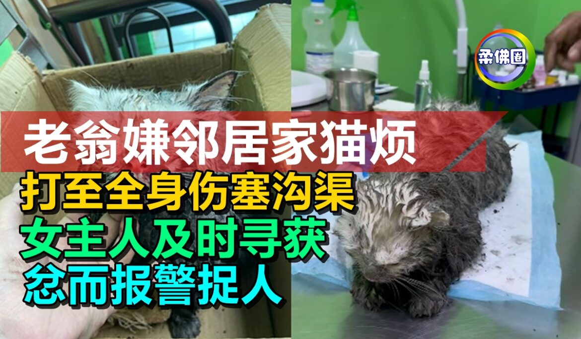 老翁嫌邻居家猫烦  打至全身伤塞沟渠   女主人及时寻获  忿而报警捉人