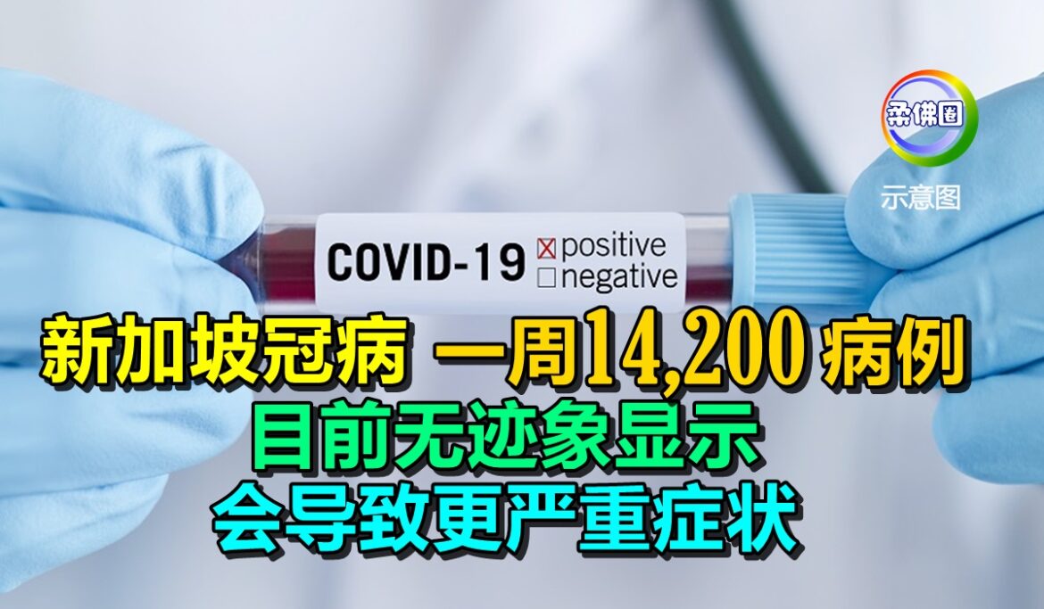 新加坡冠病一周14,200病例   目前无迹象显示  会导致更严重症状