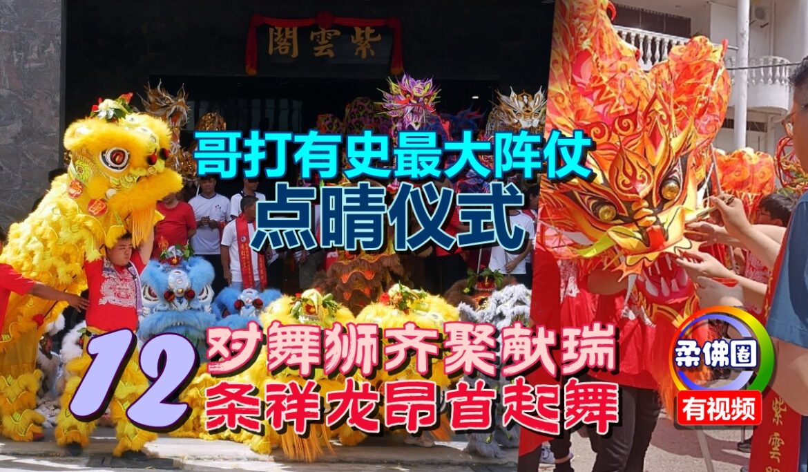 12对舞狮齐聚献瑞 12条祥龙昂首起舞  哥打有史最大阵仗 点晴仪式