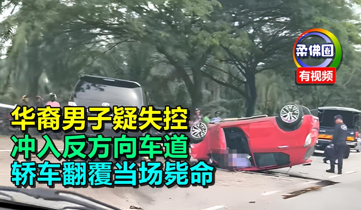 华裔男子疑失控  冲入反方向车道  轿车翻覆当场毙命