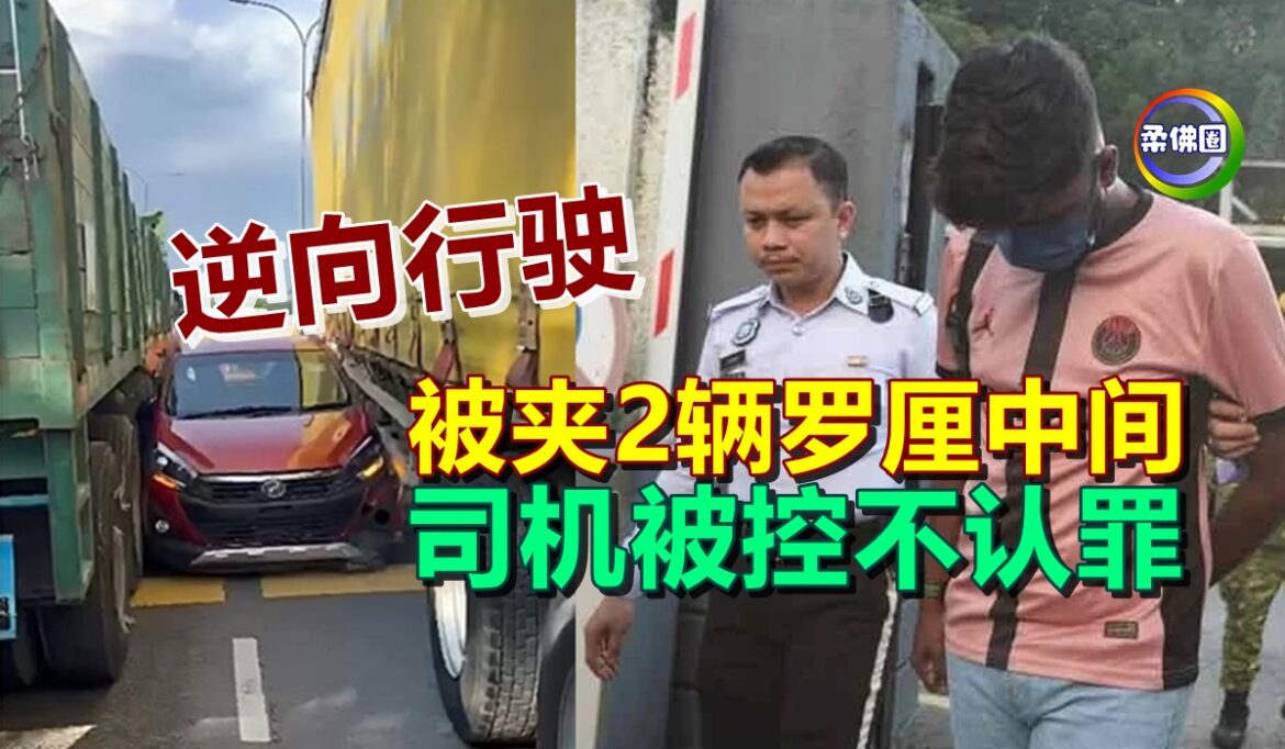 逆向行驶 被夹2辆罗厘中间  司机被控不认罪  6000保释候审