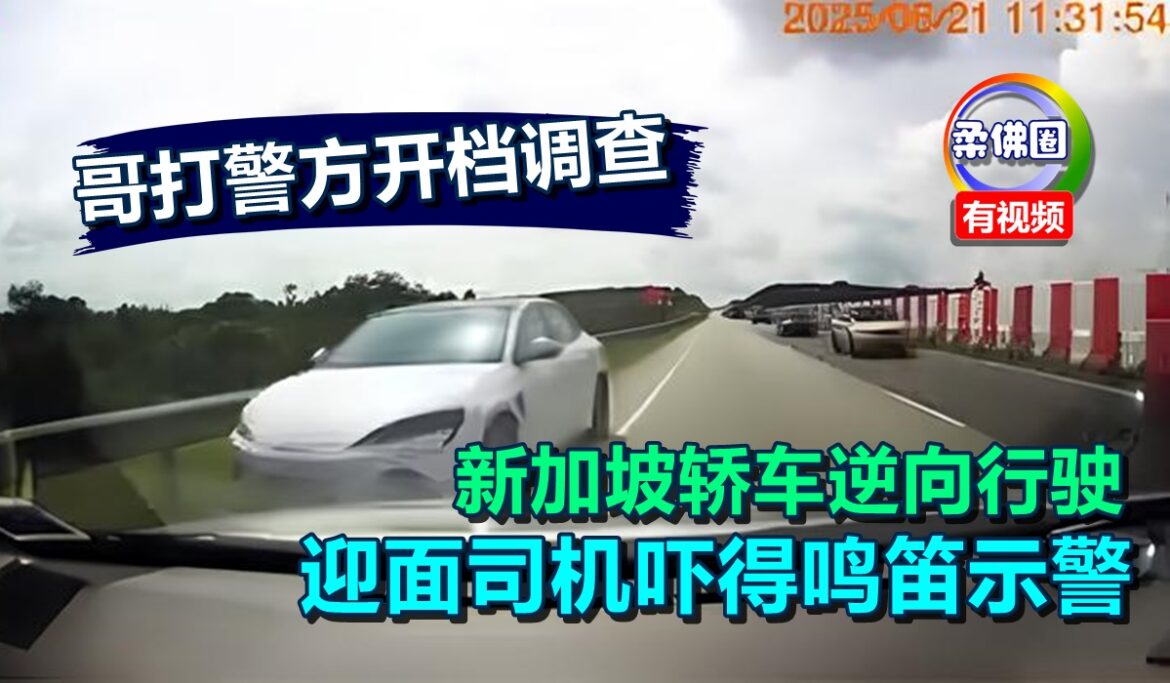 新加坡轿车逆向行驶  迎面司机吓得鸣笛示警  哥打警方开档调查