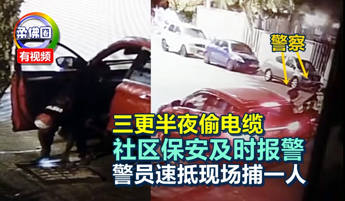 三更半夜偷电缆  社区保安及时报警  警员速抵现场捕一人