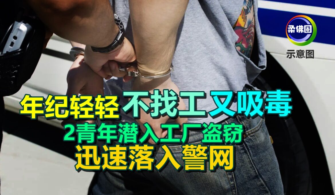年纪轻轻不找工又吸毒   2青年潜入工厂盗窃  迅速落入警网