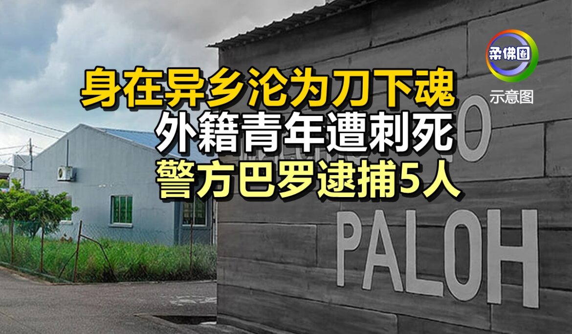 身在异乡沦为刀下魂  外籍青年遭刺死  警方巴罗逮捕5人