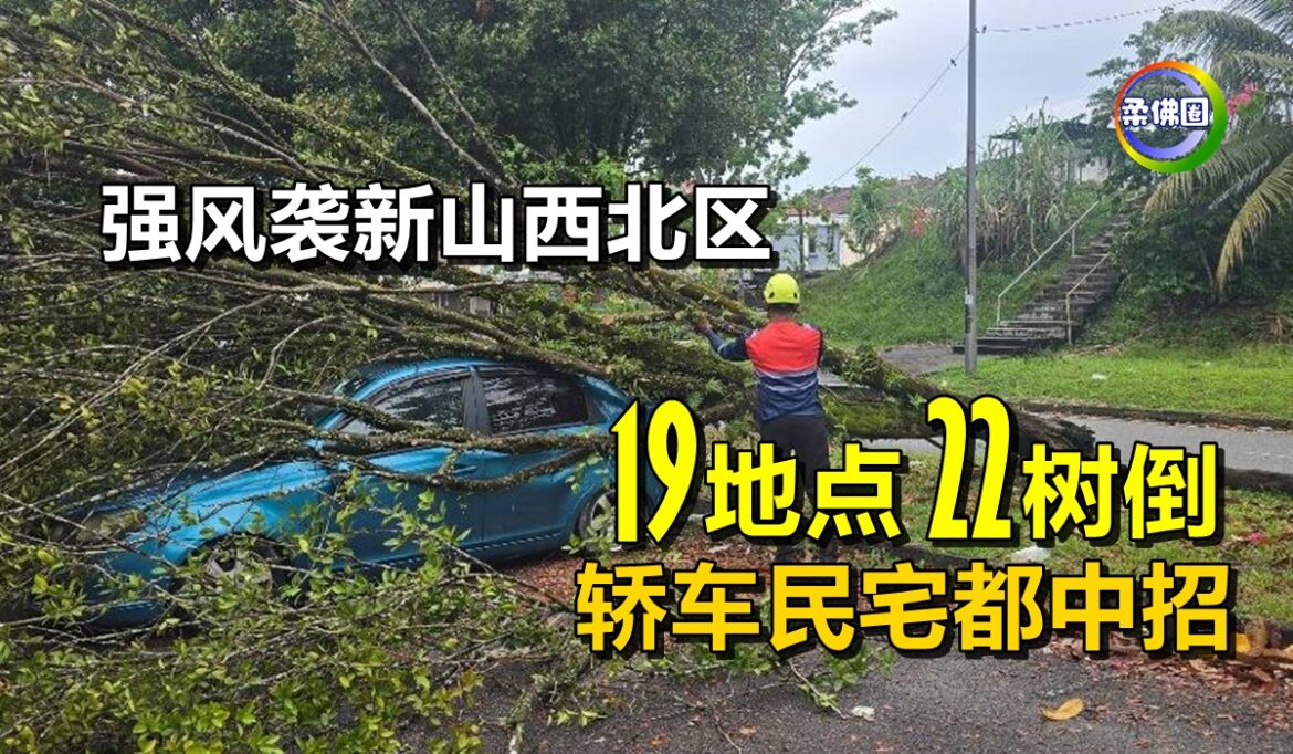强风袭新山西北区  19地点22树倒  轿车民宅都中招