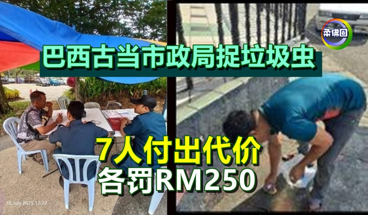 巴西古当市政局捉垃圾虫  7人付出代价   各罚RM250