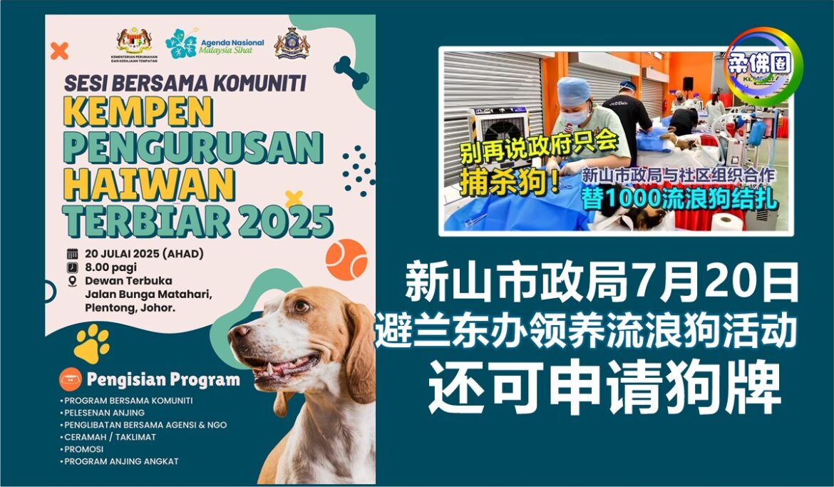 新山市政局7月20日  避兰东办领养流浪狗活动  还可申请狗牌