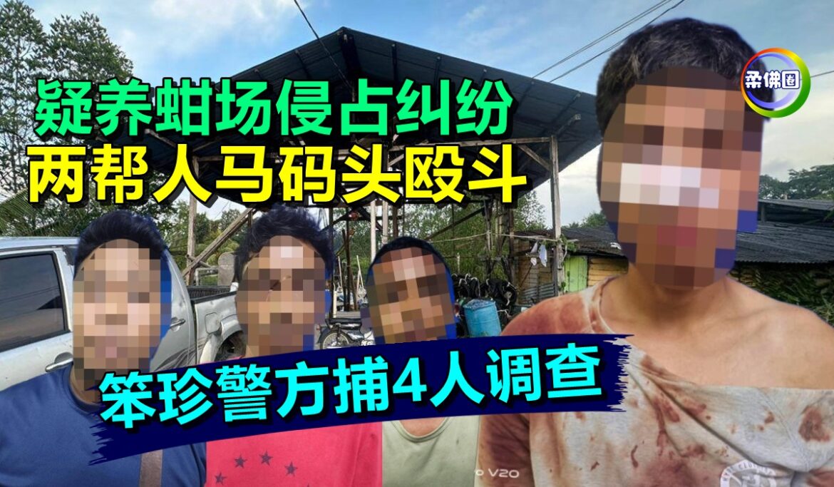 疑养蚶场侵占纠纷  两帮人马码头殴斗  笨珍警方捕4人调查