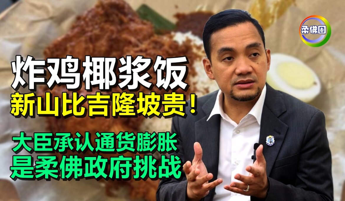 炸鸡椰浆饭 新山比吉隆坡贵！大臣承认通货膨胀 是柔佛政府挑战
