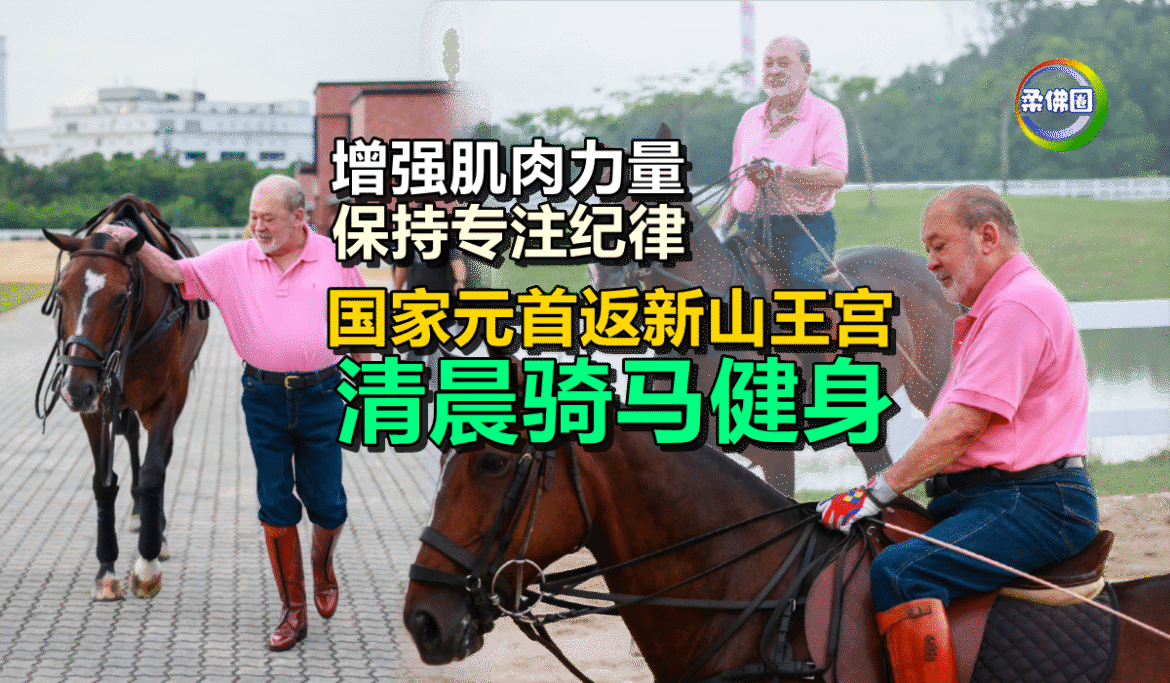 国家元首返新山王宫  清晨骑马健身  增强肌肉力量  保持专注纪律