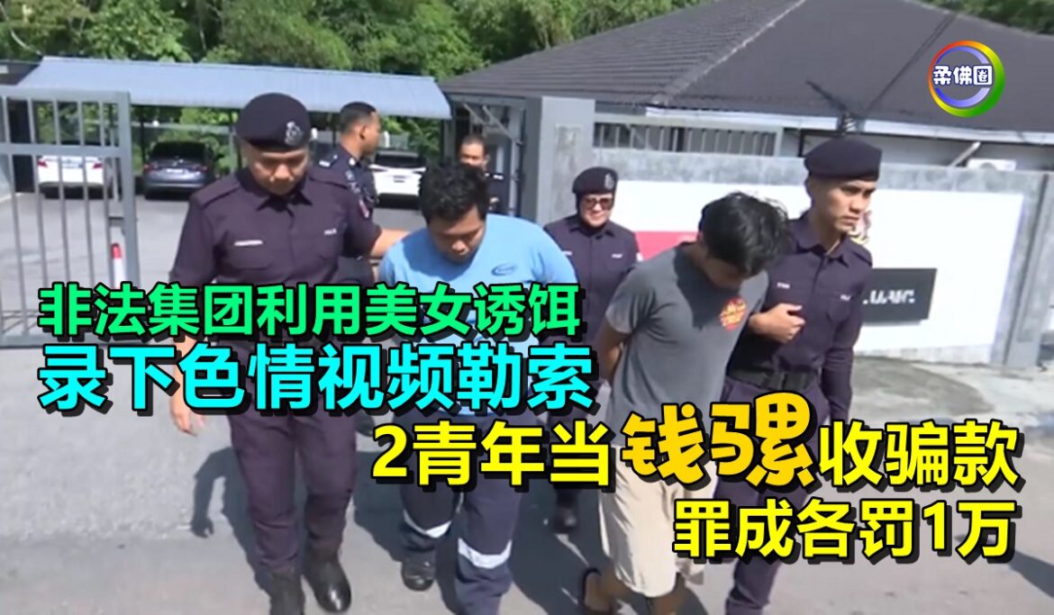 非法集团利用美女诱饵  录下色情视频勒索  2青年当“钱骡”收骗款  罪成各罚1万