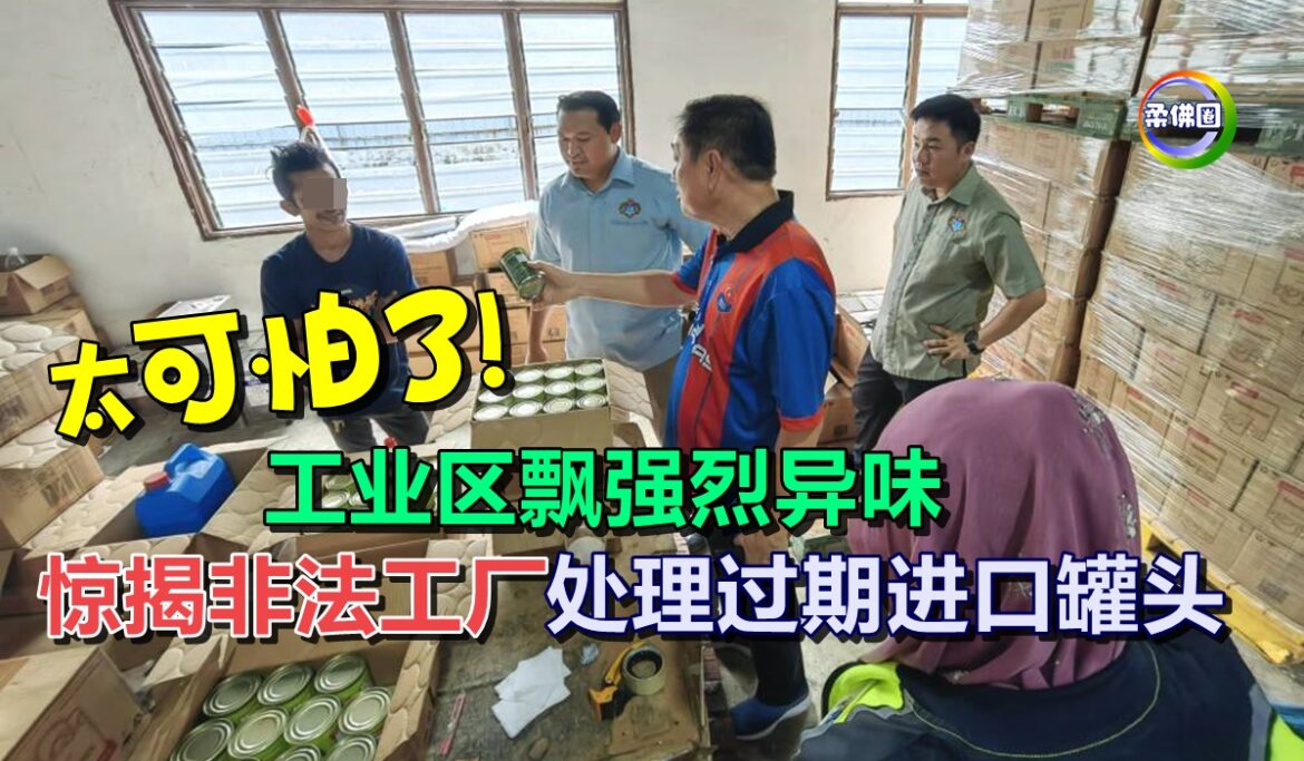 太可怕了！工业区飘强烈异味  惊揭非法工厂  处理过期进口罐头