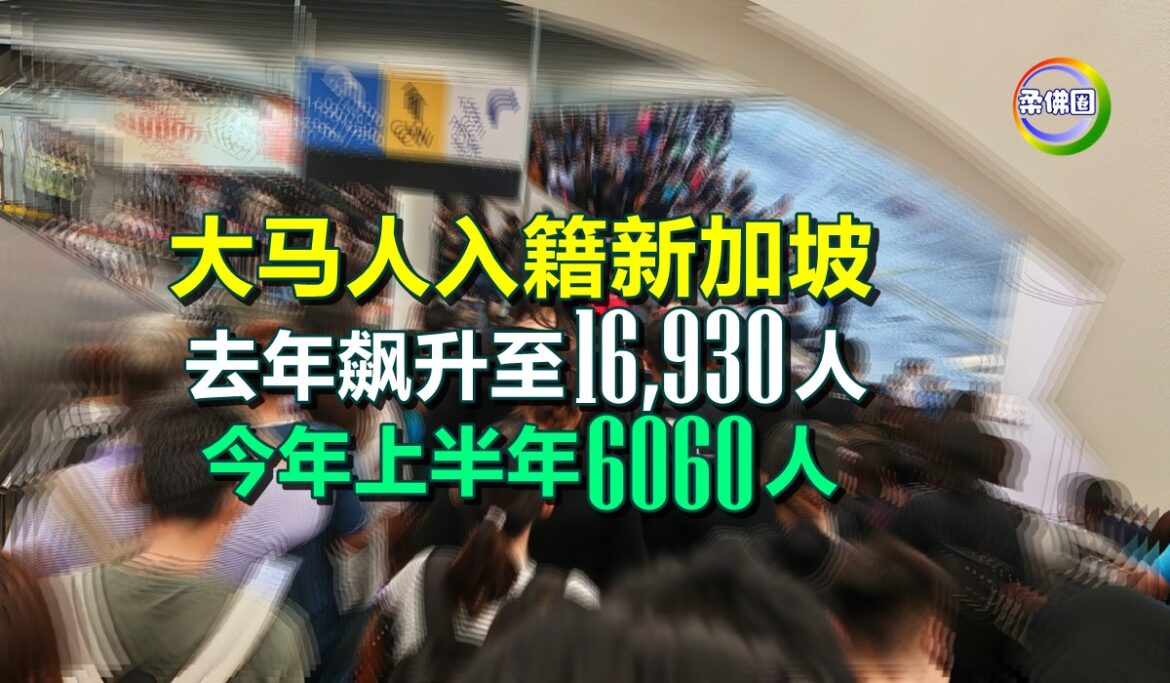 大马人入籍新加坡  去年飙升至16,930人  今年上半年6000人