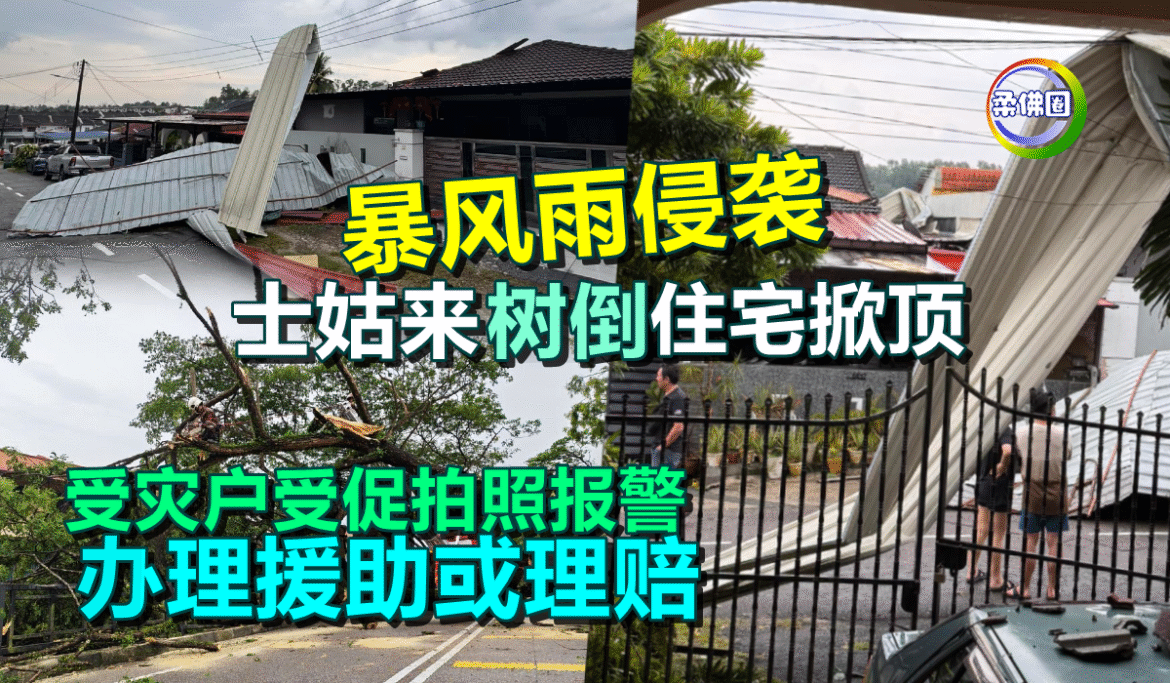 暴风雨侵袭  士姑来树倒‧住宅掀顶   受灾户受促拍照报警  办理援助或理赔