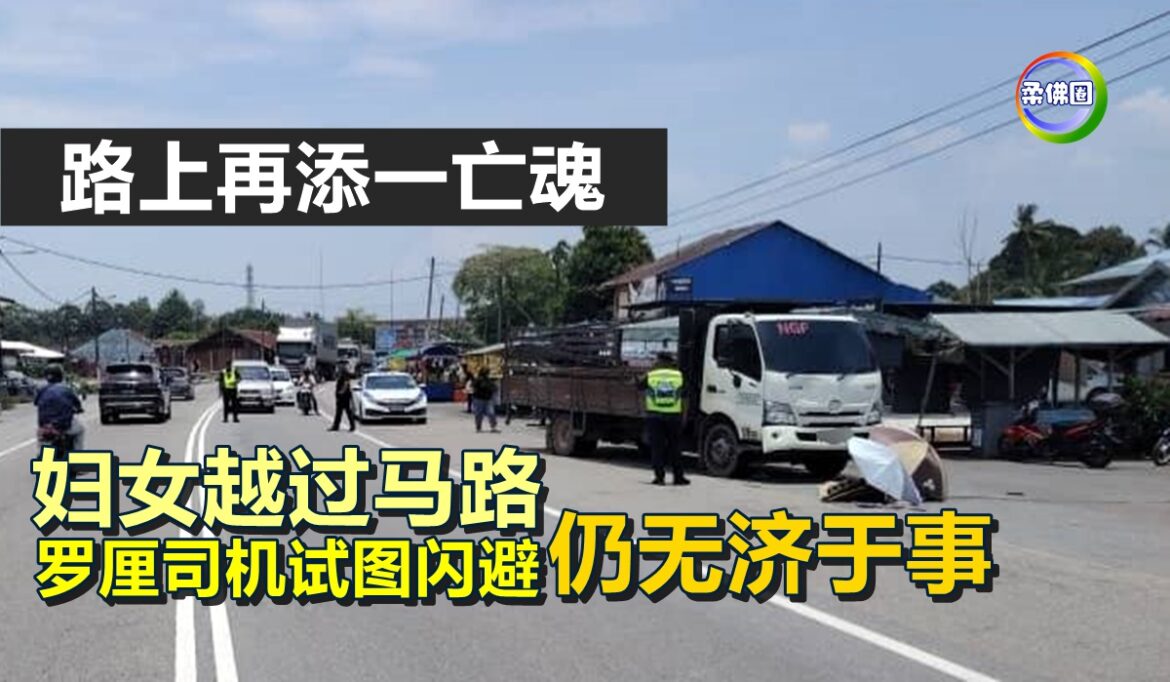 妇女越过马路  罗厘司机试图闪避  仍无济于事   路上再添一亡魂