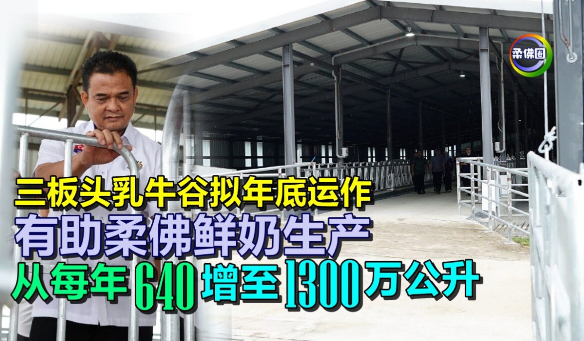 三板头乳牛谷拟年底运作  有助柔佛鲜奶生产 从每年640万公升 增至1300万公升