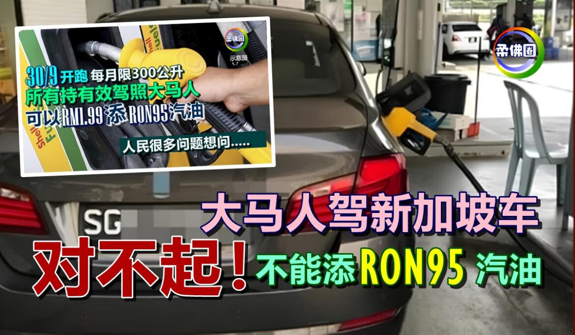 大马人驾新加坡车  对不起！不能添RON95汽油
