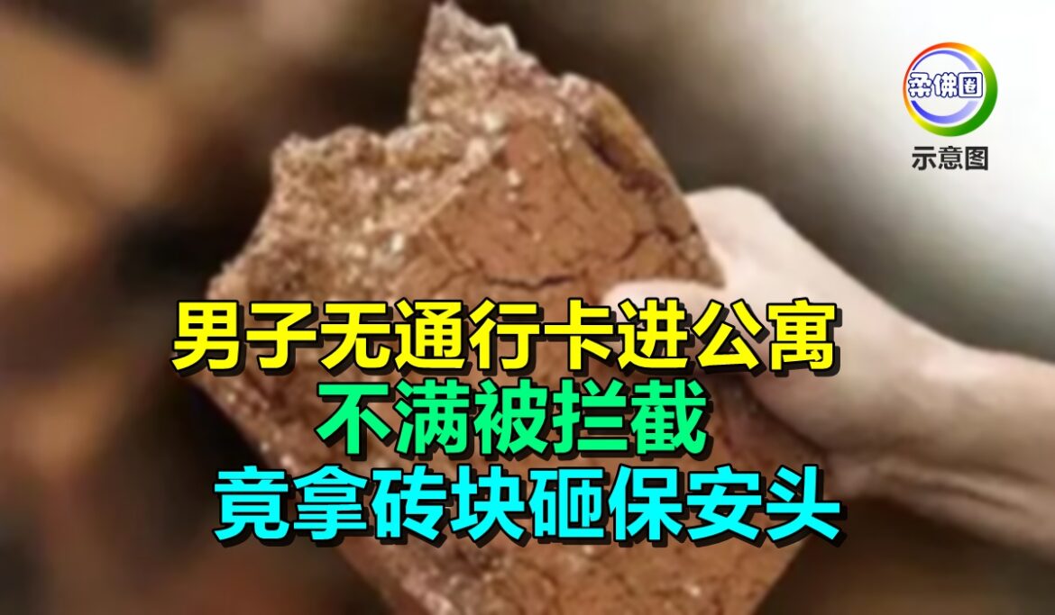 男子无通行卡进公寓  不满被拦截  竟拿砖块砸保安头