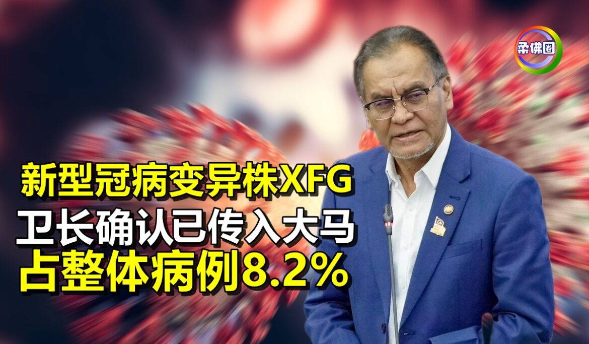 新型冠病变异株XFG  卫长确认已传入大马   占整体病例8.2%