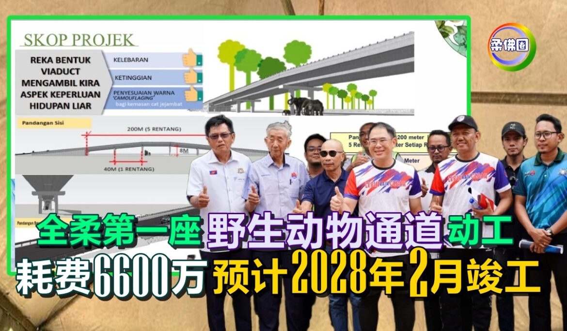 全柔第一座野生动物通道动工  耗费6600万  预计2028年2月份竣工