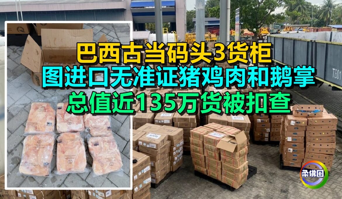 巴西古当码头3货柜  图进口无准证猪鸡肉和鹅掌  总值近135万货被扣查