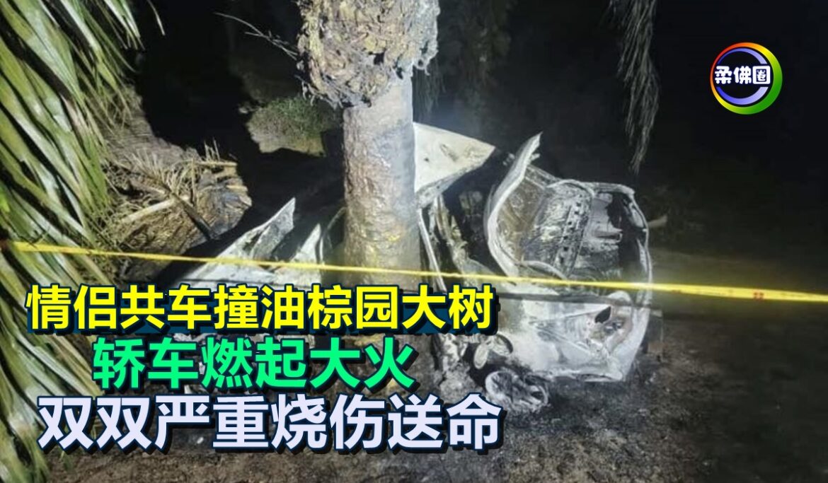 情侣共车撞油棕园大树  轿车燃起大火   双双严重烧伤送命