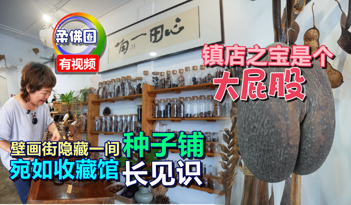 壁画街隐藏一间“种子铺”  宛如收藏馆长见识  镇店之宝竟是个“大屁股”