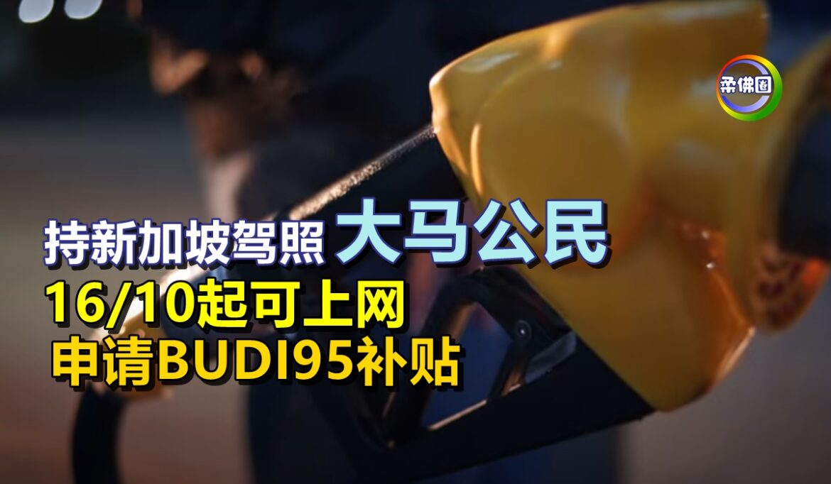 持新加坡驾照的大马公民  16/10起可上网  申请BUDI95补贴