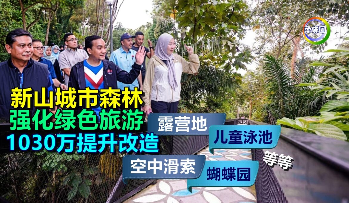 新山城市森林1030万提升改造  露营地.蝴蝶园.儿童泳池.空中滑索 强化绿色旅游