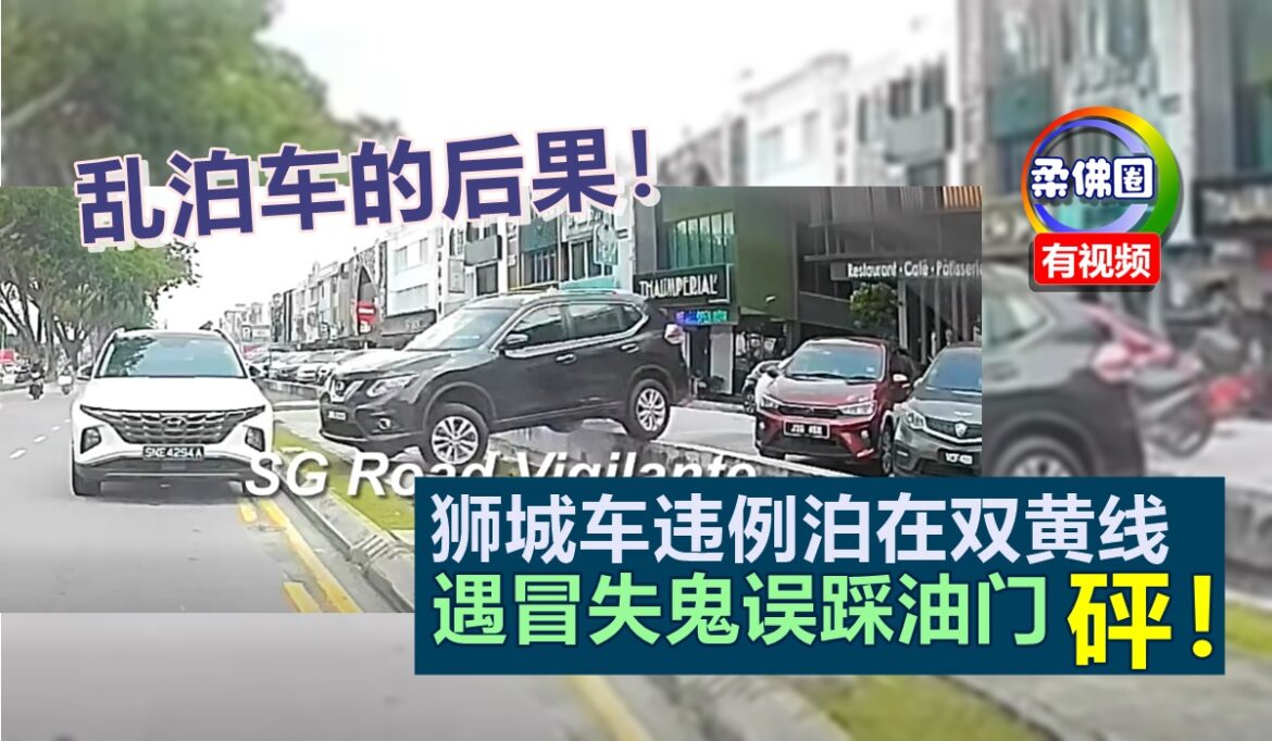 乱泊车的后果！狮城车违例泊在双黄线  遇冒失车主踩油  完蛋了！