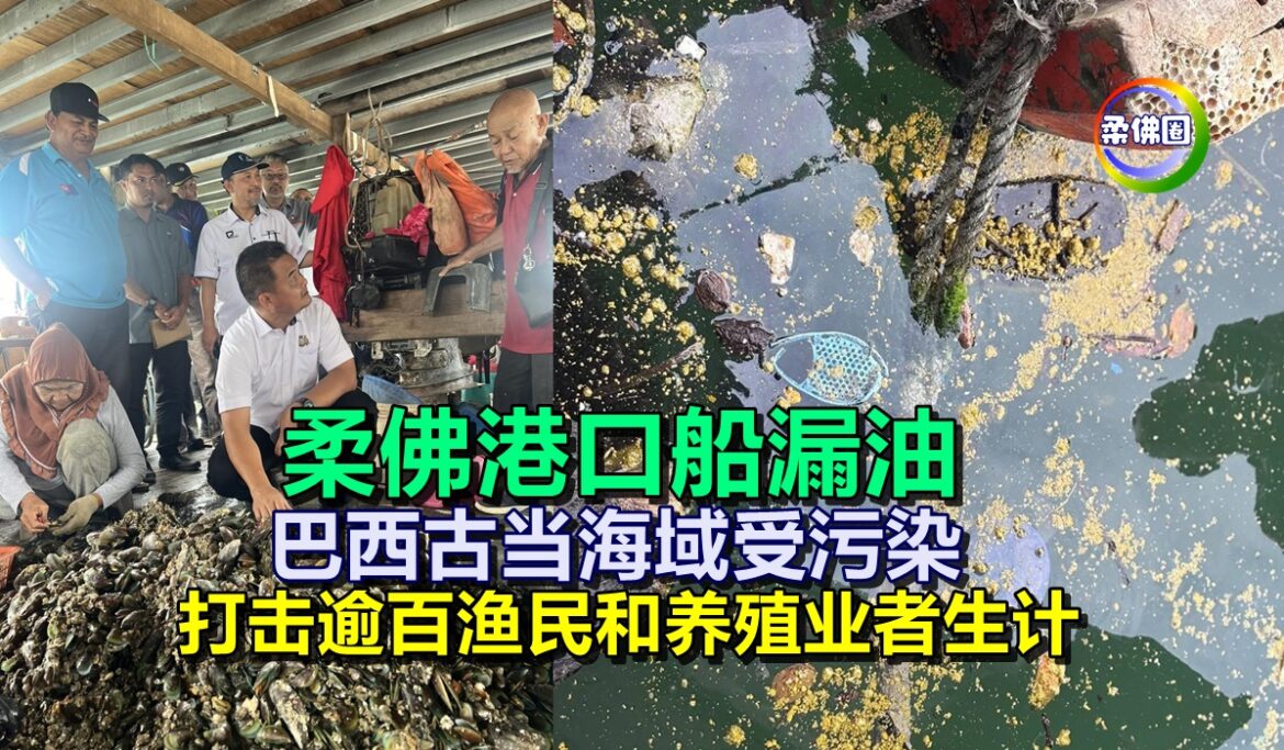 柔佛港口船漏油  巴西古当海域受污染  打击逾百渔民和养殖业者生计