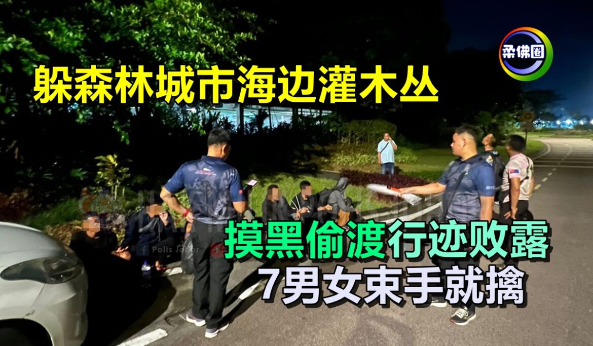 躲森林城市海边灌木丛  摸黑偷渡行迹败露  7男女束手就擒